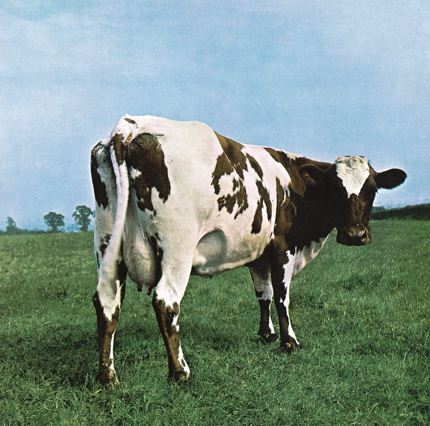 Pink Floyd/Atom Heart Mother [LP]