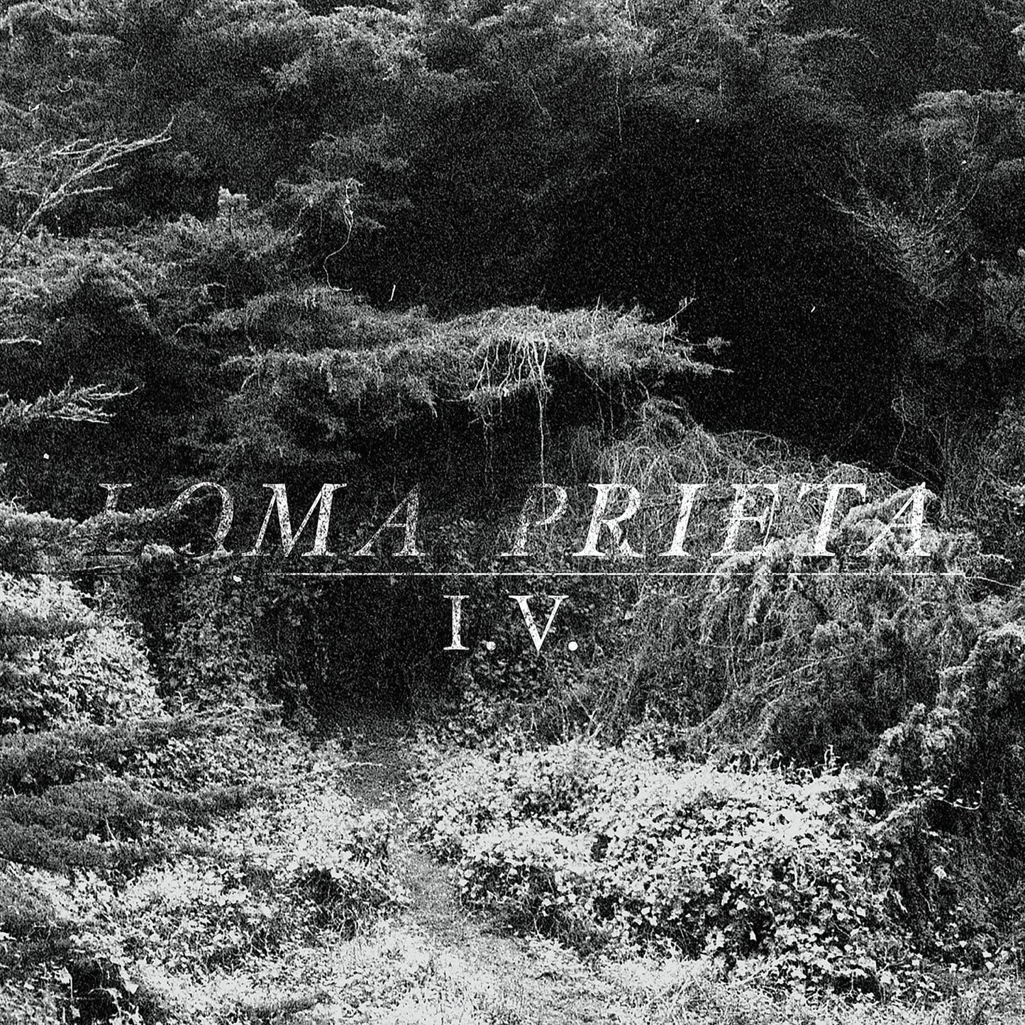 Loma Prieta/I.V. [LP]