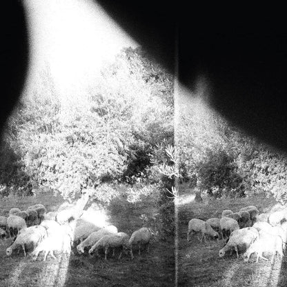 Godspeed You! Black Emperor!/Asunder, Sweet and Other Distress [LP]