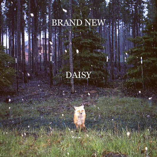 Brand New/Daisy [LP]