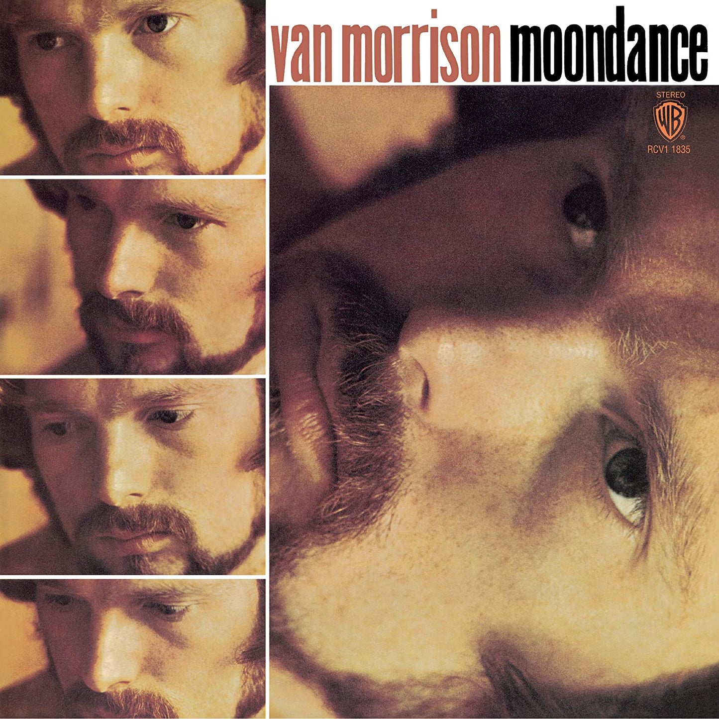 Morrison, Van/Moondance (Orange Vinyl) [LP]