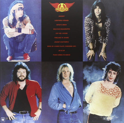 Aerosmith/Rock In A Hard Place [LP]