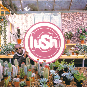 Lush/Lovelife (Indie Exclusive Clear Vinyl) [LP]