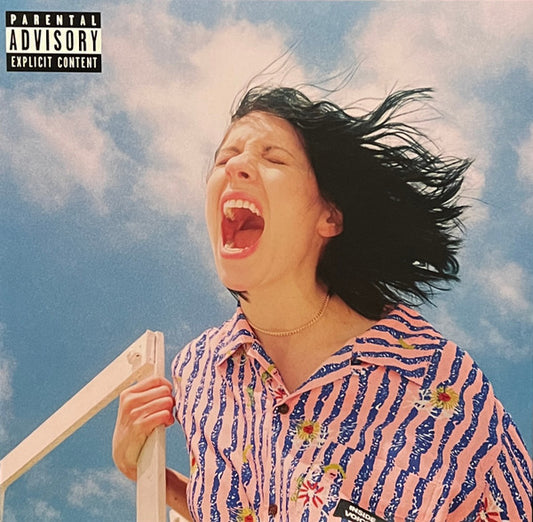 K.Flay/Inside Voices / Outside Voices (Pink Opaque Vinyl) [LP]