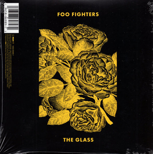 H.E.R. x Foo Fighters/The Glass [7"]