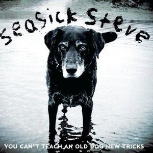 Seasick Steve/You Can't Teach An Old Dog New Tricks [LP]