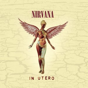 Nirvana/In Utero (30th Ann. 5CD Deluxe Boxset) [CD]