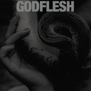 Godflesh/Purge [LP]