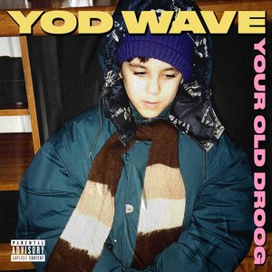 Your Old Droog/YOD Wave [LP]