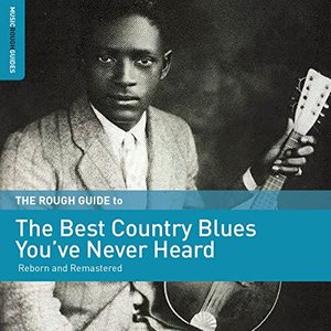 Various Artists/Rough Guide to the Best Country Blues You've Never Heard [LP]